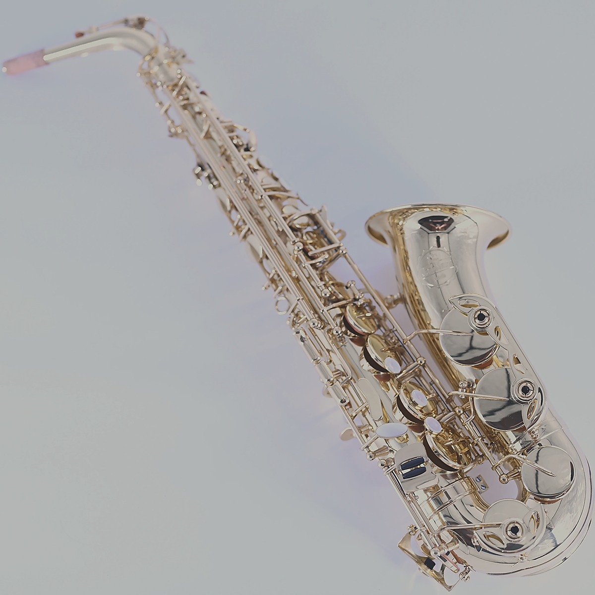 Birdy Altsaxophon