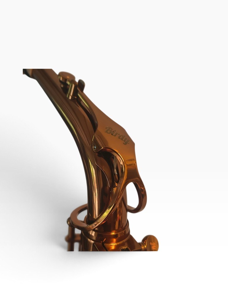 JazzMaxx Birdy alto saxophone