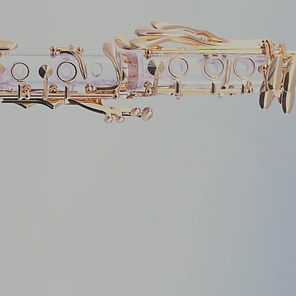 Showtime Acryl Klarinette